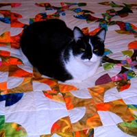 Cynthia Lind Photo 11