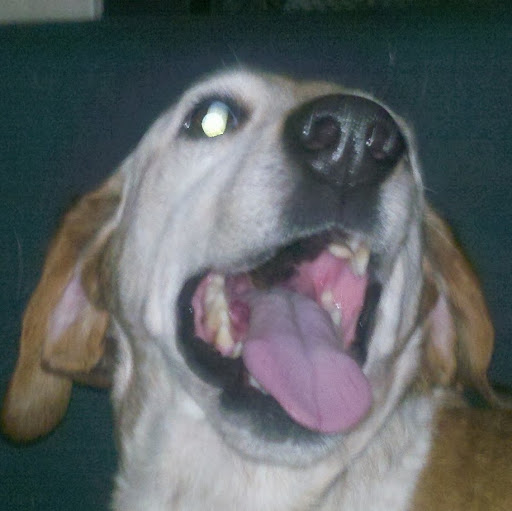 Raul Ramirez Photo 35