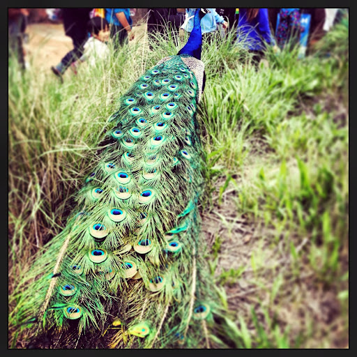 Christina Campbell Photo 30