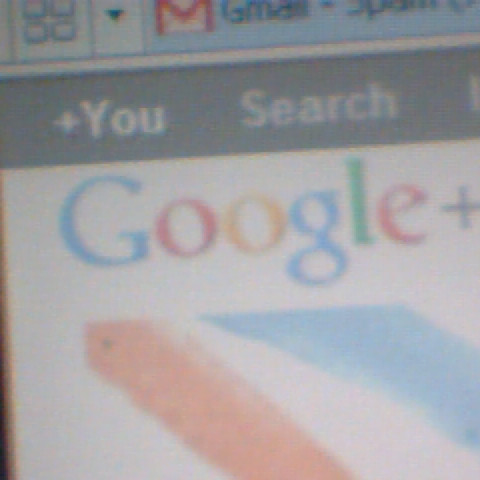 Sean Jennings Photo 34