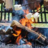 Judith Foreman Photo 6