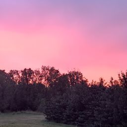 Kerry Turner Photo 24