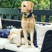 Michele Whelan Photo 10