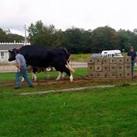 Janice Dunham Photo 25