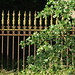Janet Erskine Photo 9