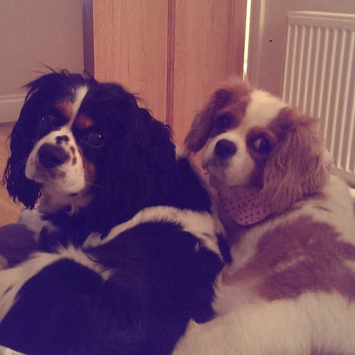 Ken Connolly Photo 21