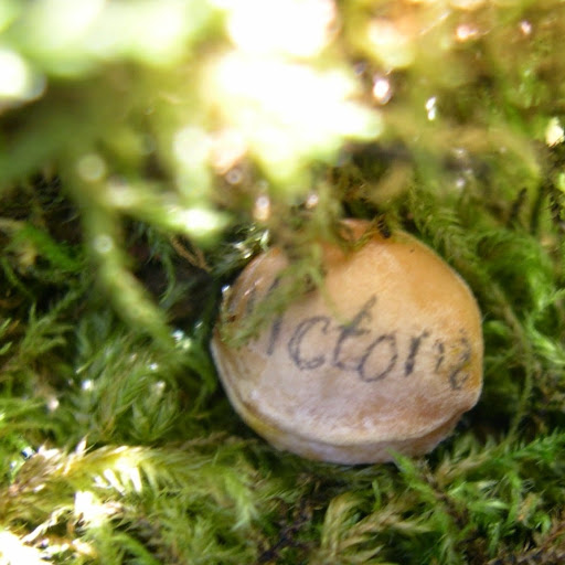 Victoria Redgrave Photo 4