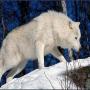 Cynthia Mayes Photo 16