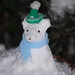 Deborah Snow Photo 6