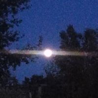 Marlene Wood Photo 15