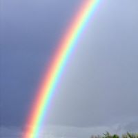 Laura Street Photo 12