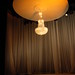 Debra Hammonds Photo 12