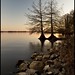 Ray Barnette Photo 13