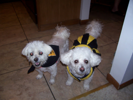 Sandy Osborn Photo 24