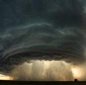 James Tanner Photo 31