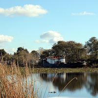 Darrell Groves Photo 17