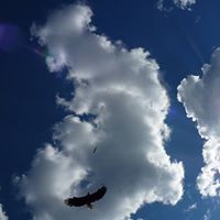 Margaret Fletcher Photo 20