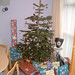 Janet Abbott Photo 41