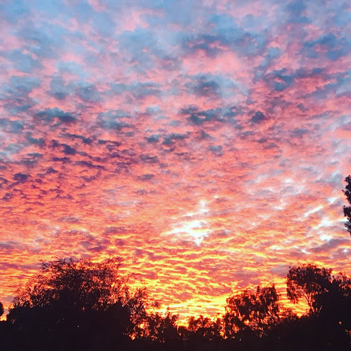 Michelle Robb Photo 10