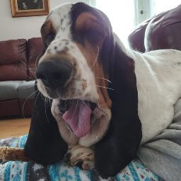 Kathleen Watkins Photo 32 Kathleen Watkins Photo 32