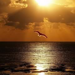 Norma Lewis Photo 21