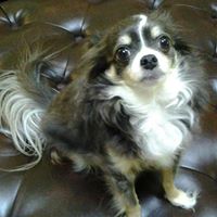 Vickie Maloney Photo 10