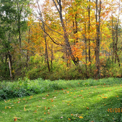 Jackie Shepherd Photo 35