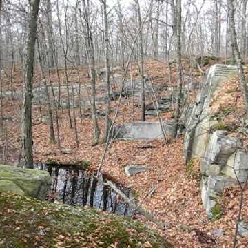 Susan Barlow Photo 21