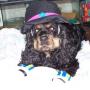 Rebecca Hamrick Photo 13