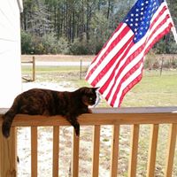 Tina Bradley Photo 15