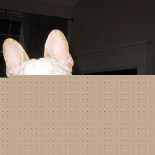 Christopher Flanagan Photo 38 Christopher Flanagan Photo 38