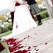 Stephen Meyers Photo 19
