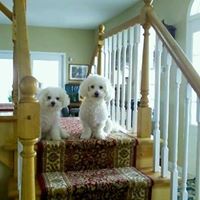 Karen Divito Photo 6
