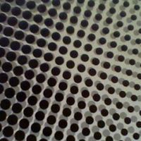 Julie Abraham Photo 13