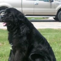 Paula Kozlowski Photo 5