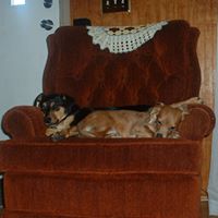 Edward Bennett Photo 23 Edward Bennett Photo 23