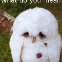 Christina Swartz Photo 18