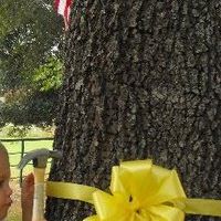 Ruth Adkins Photo 14