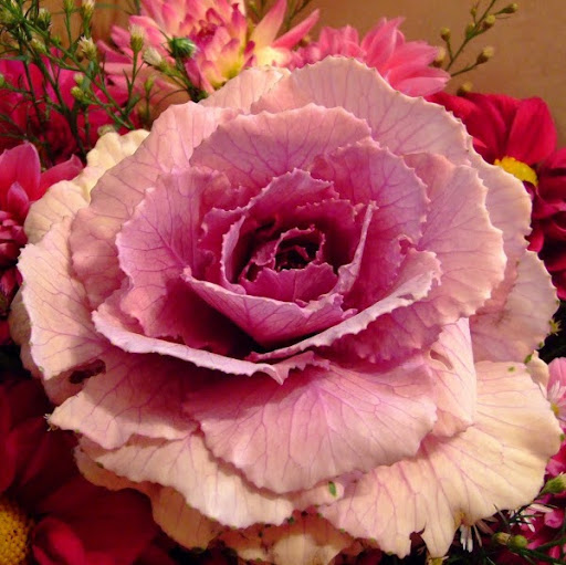 Anita Adams Photo 31