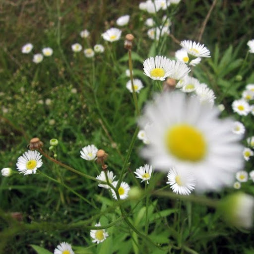 Rachel Briggs Photo 32