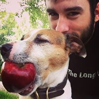 Travis Harmon Photo 15