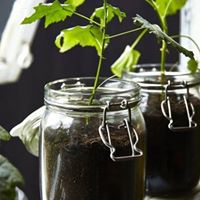 Deborah Genty Photo 2