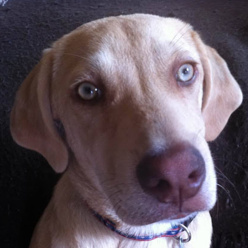 Suzanne Hinton Photo 6