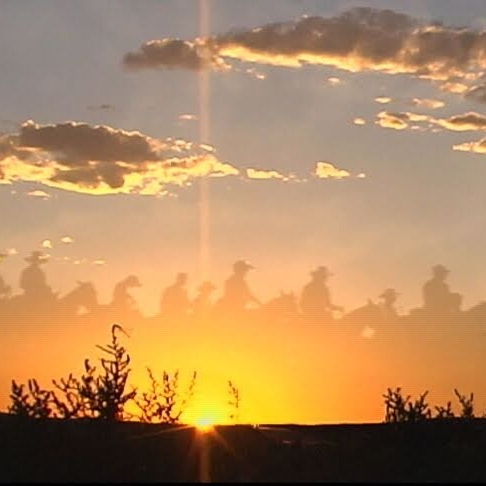 David Drees Photo 22