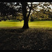 Doris Brewer Photo 28