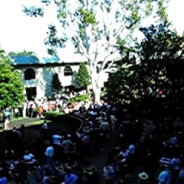 Michael Harrell Photo 15