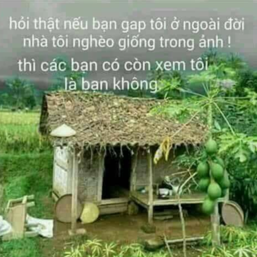 Nhan Truong Photo 24