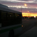 Dawn Leach Photo 16
