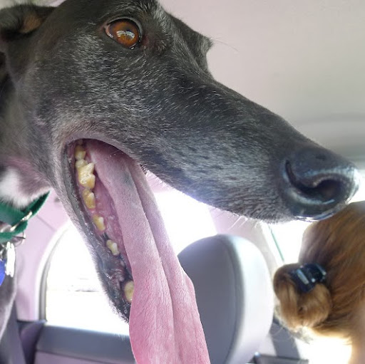 Ruby Krueger Photo 1