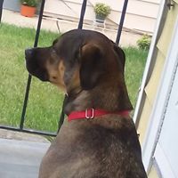 Roberta Holland Photo 11